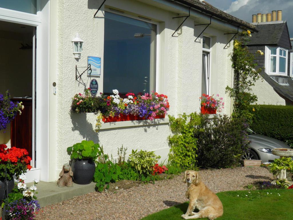 No12 Bed And Breakfast, St Andrews Exterior foto